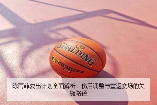 陈雨菲复出计划全面解析：伤后调整与重返赛场的关键路径