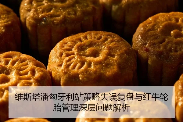 维斯塔潘匈牙利站策略失误复盘与红牛轮胎管理深层问题解析