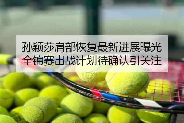 孙颖莎肩部恢复最新进展曝光 全锦赛出战计划待确认引关注